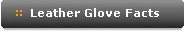 Leather Glove Facts